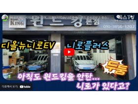 니로 플러스 ev 와 디올뉴 니로 e…